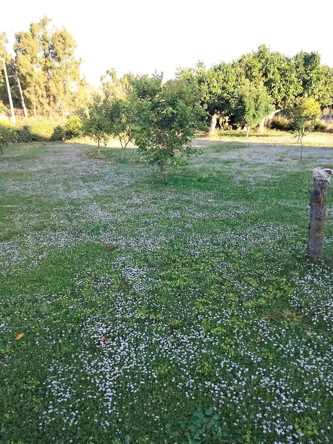 Agriturismo I Doni Del Mandorlo Alghero 0*,